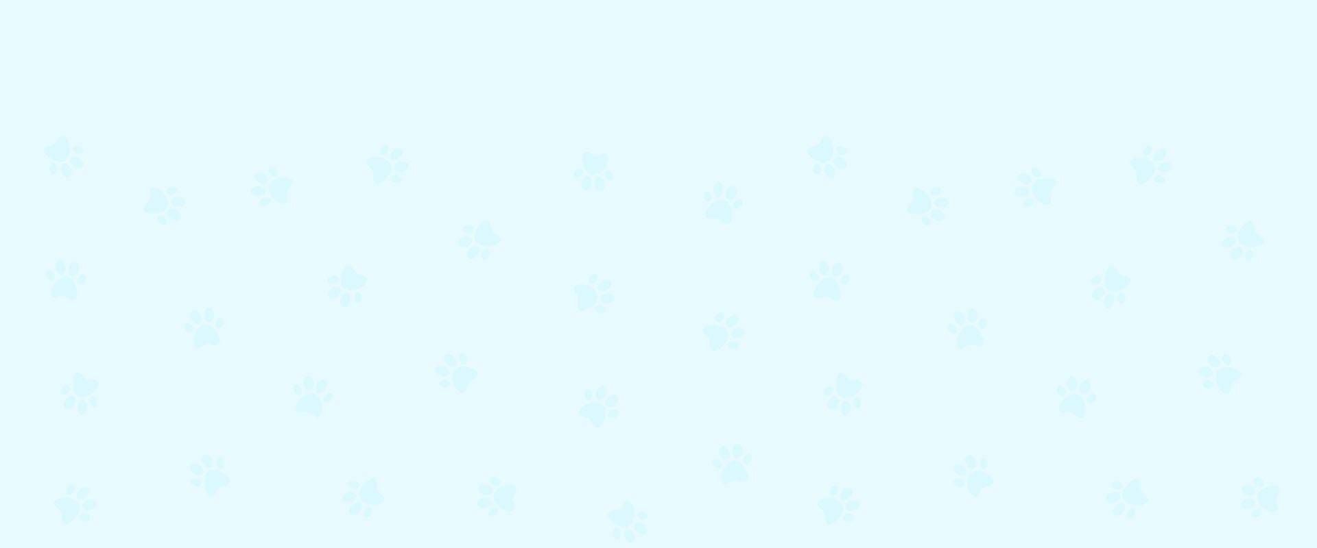 paws pattern bg header